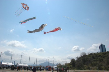 多度津全国たこあげ大会