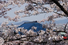桜の合間に見える光景