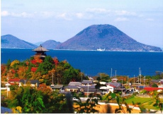 秋の海岸寺