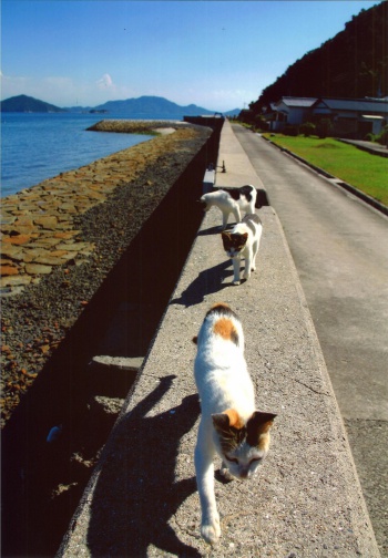 ねこ島