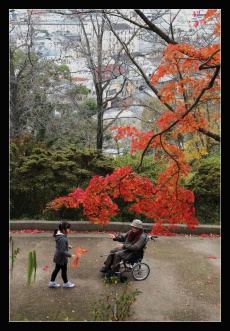 午後の公園