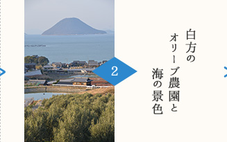 SPOT2：白方のオリーブ農園と海の景色