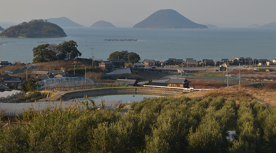 多度津の風景を作る人々コース | 香川県の多度津町観光協会