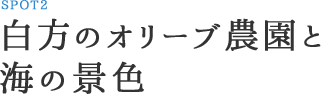 SPOT2：白方のオリーブ農園と 海の景色