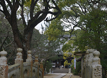 海岸寺