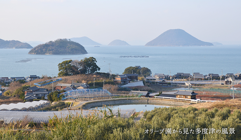 オリーブ園から見た多度津の風景